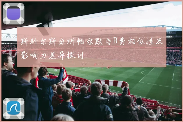 斯科尔斯分析帕尔默与B费相似性及影响力差异探讨