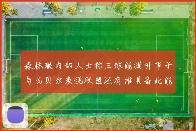 森林狼内部人士称三球能提升华子与戈贝尔表现联盟还有谁具备此能力