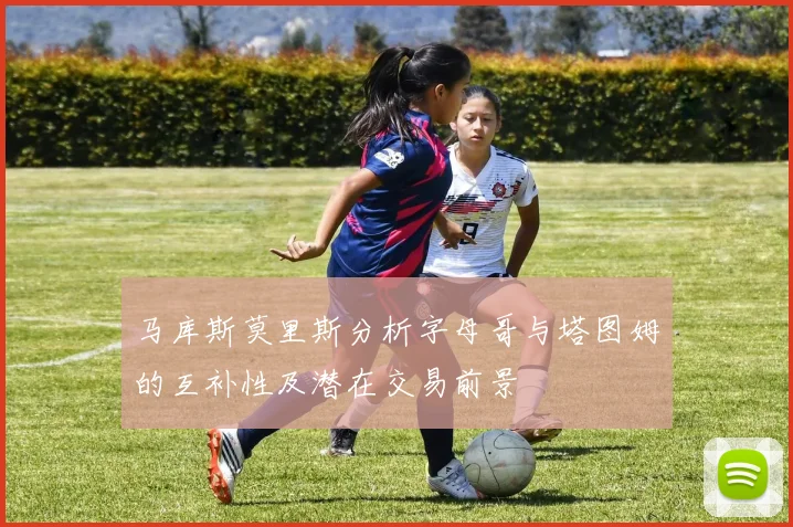 马库斯莫里斯分析字母哥与塔图姆的互补性及潜在交易前景